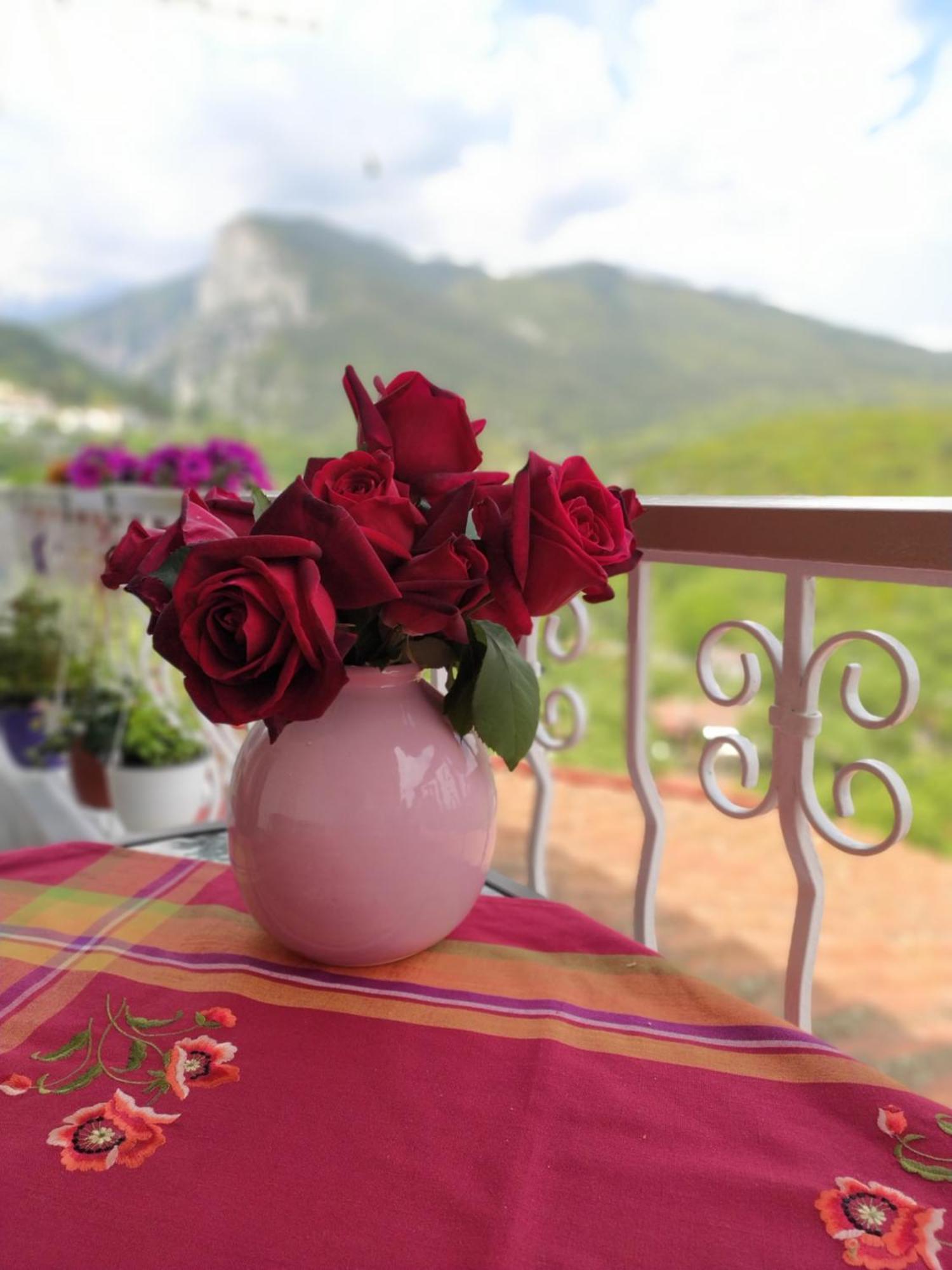 Olympus View Rooms Sauna & Spa Litochoron Bagian luar foto